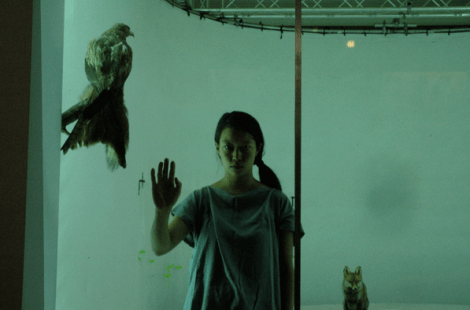 Screen Shot 2014-12-21 at 11.48.58 am